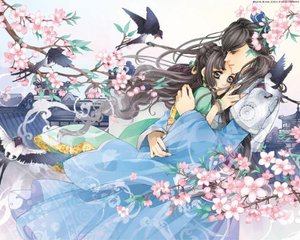 葫芦娃不卖药只卖千万